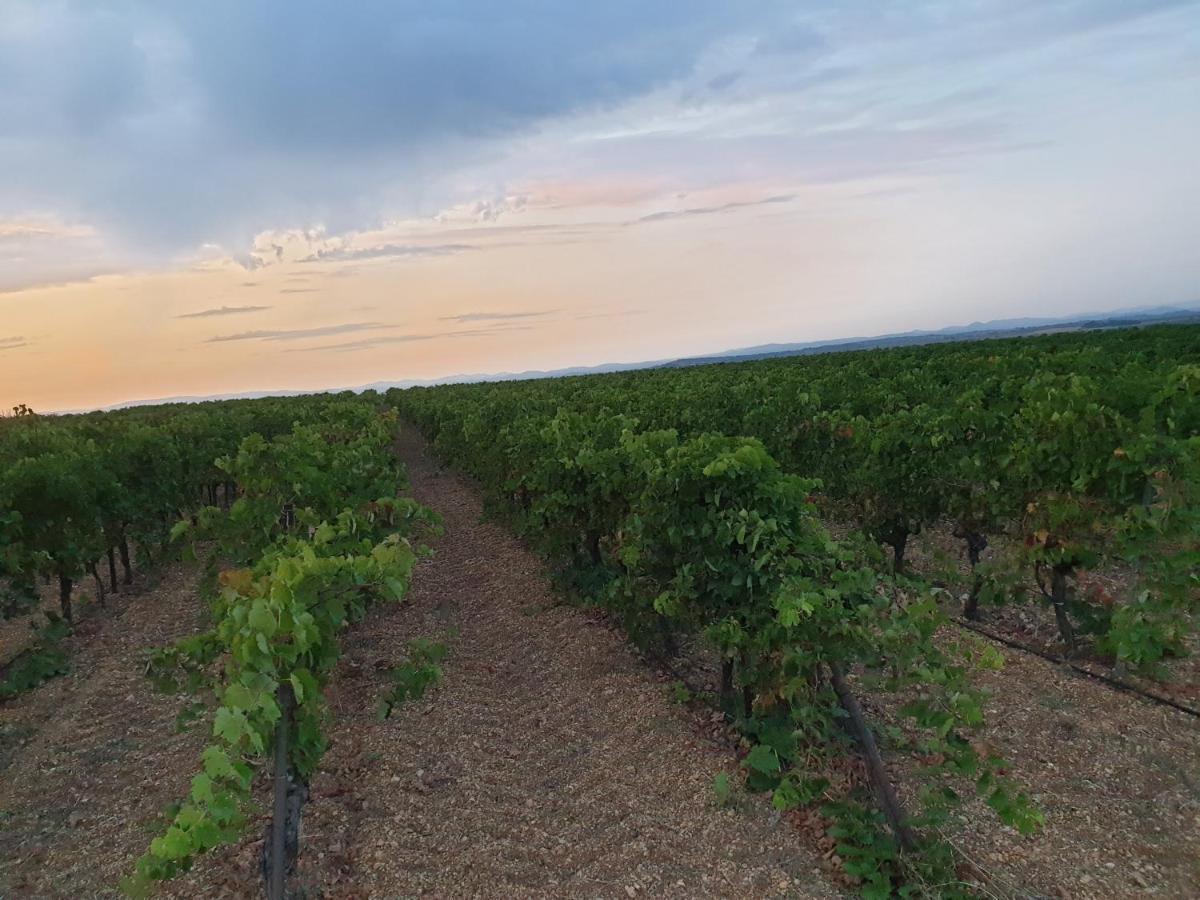 Ch Chevalier, Domaine De La Serre Saint-Thibéry Zewnętrze zdjęcie